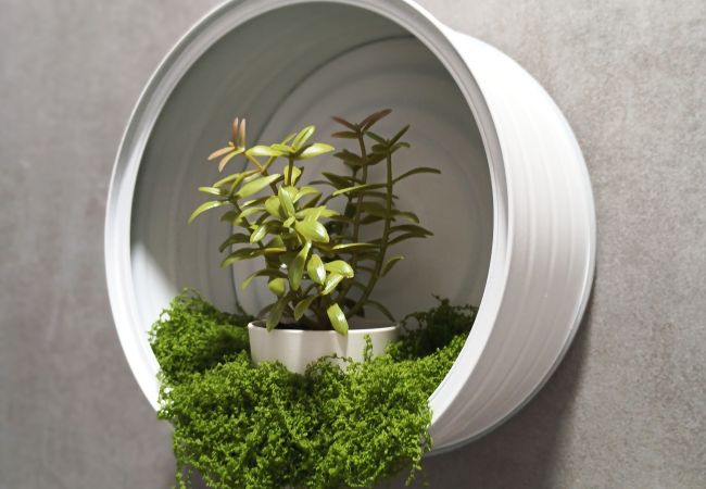 Apartamento en Málaga - WintowinRentals Fabuloso Centro Histórico Ubicación Perfecta Apartamento en Málaga - WintowinRentals Fabuloso Centro Histórico Ubicación Perfecta