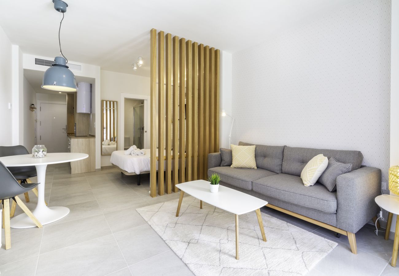 Estudio en Málaga - WintowinRentals - Estudio Héroes de Sostoa 156