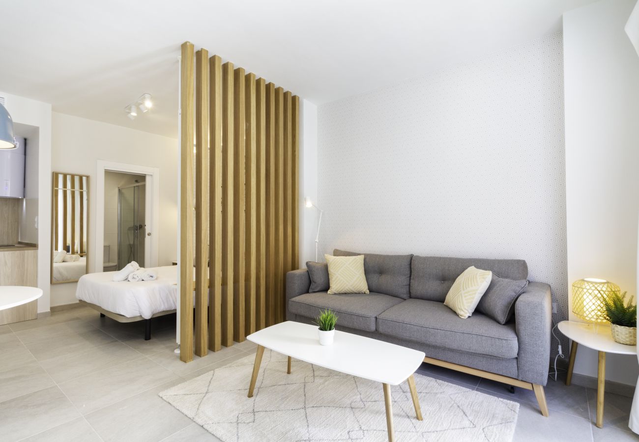 Estudio en Málaga - WintowinRentals - Estudio Héroes de Sostoa 156