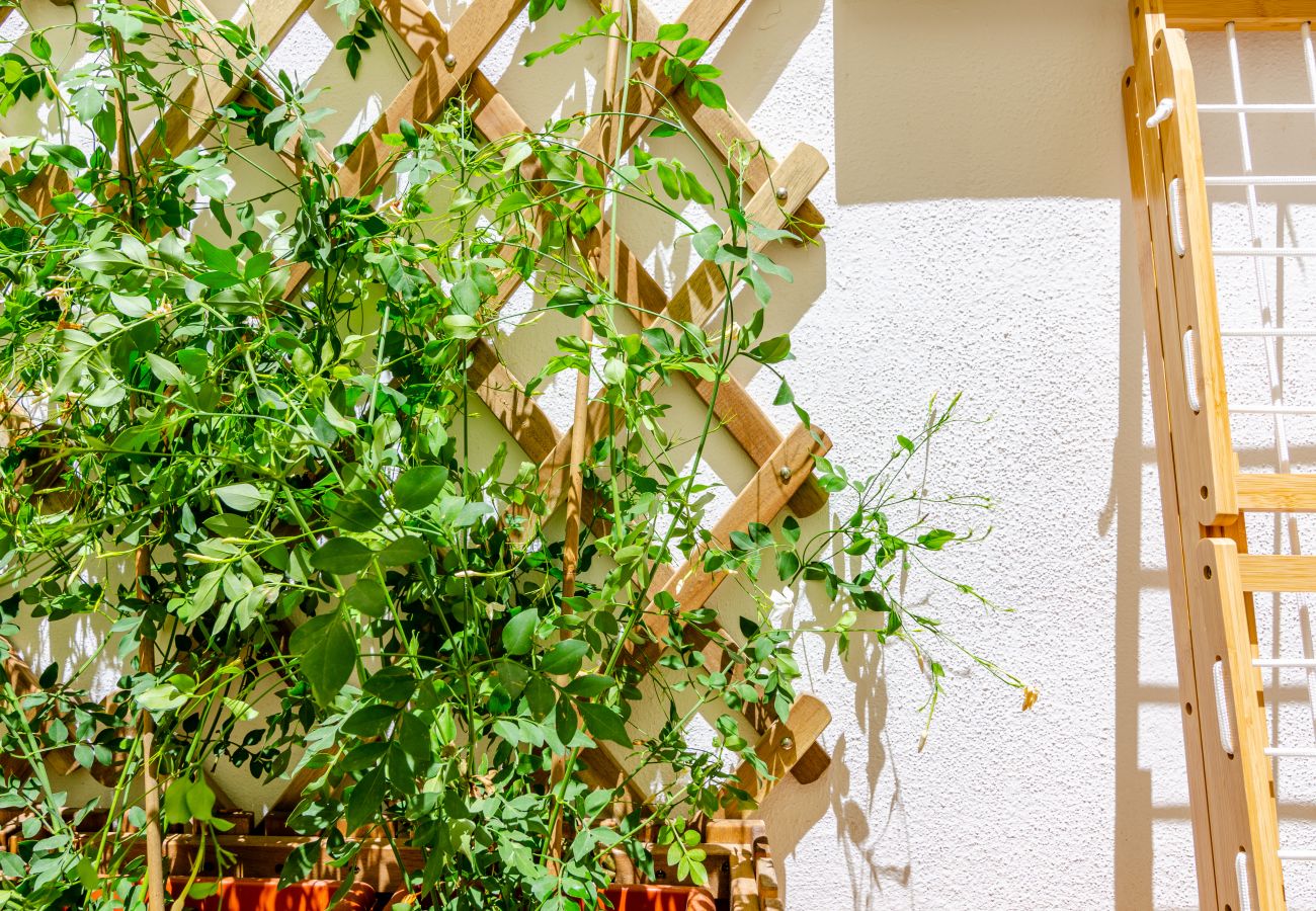 Apartamento en Rincón de la Victoria - WintowinRentals - La Casa de Helene