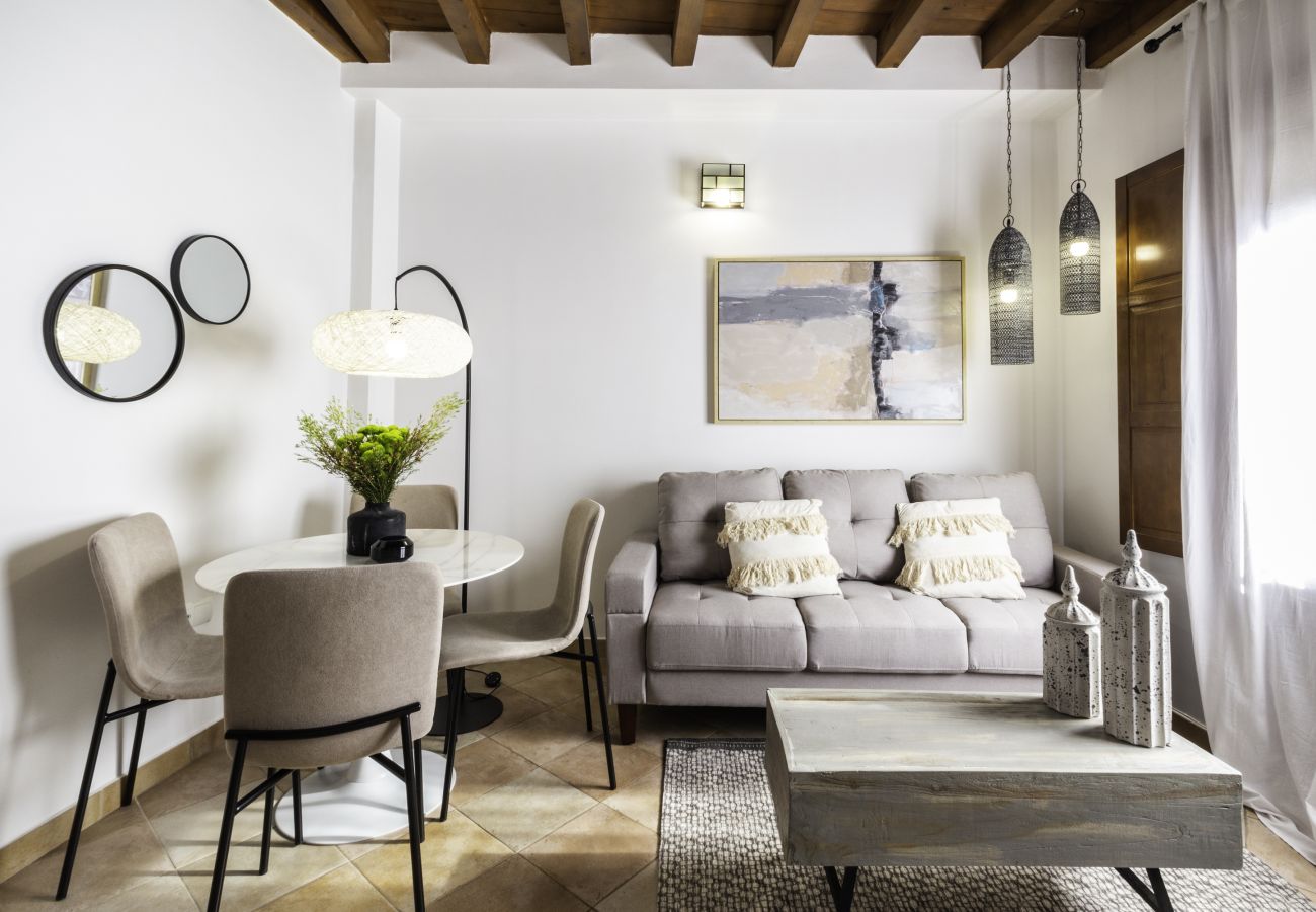 Apartamento en Granada - WintowinRentals Fabuloso ático con terraza en el corazón de Granada