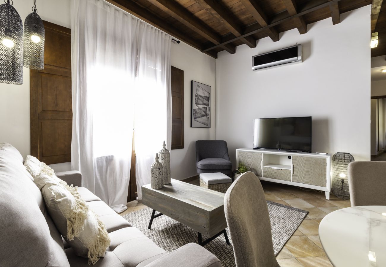 Apartamento en Granada - WintowinRentals Fabuloso ático con terraza en el corazón de Granada
