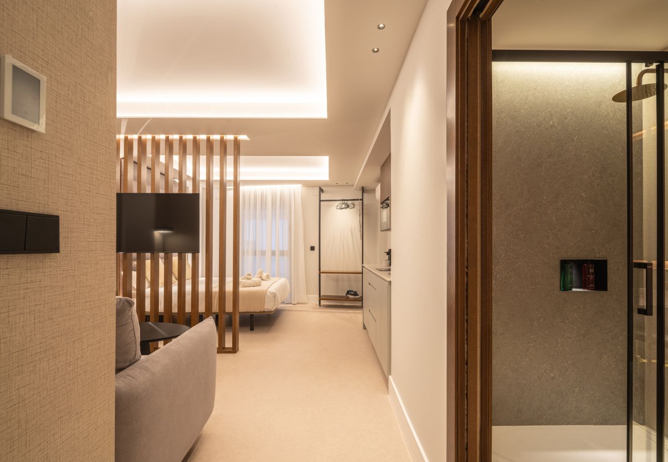 Estudio en Granada - WintowinRentals Placeta Suites Granada 4