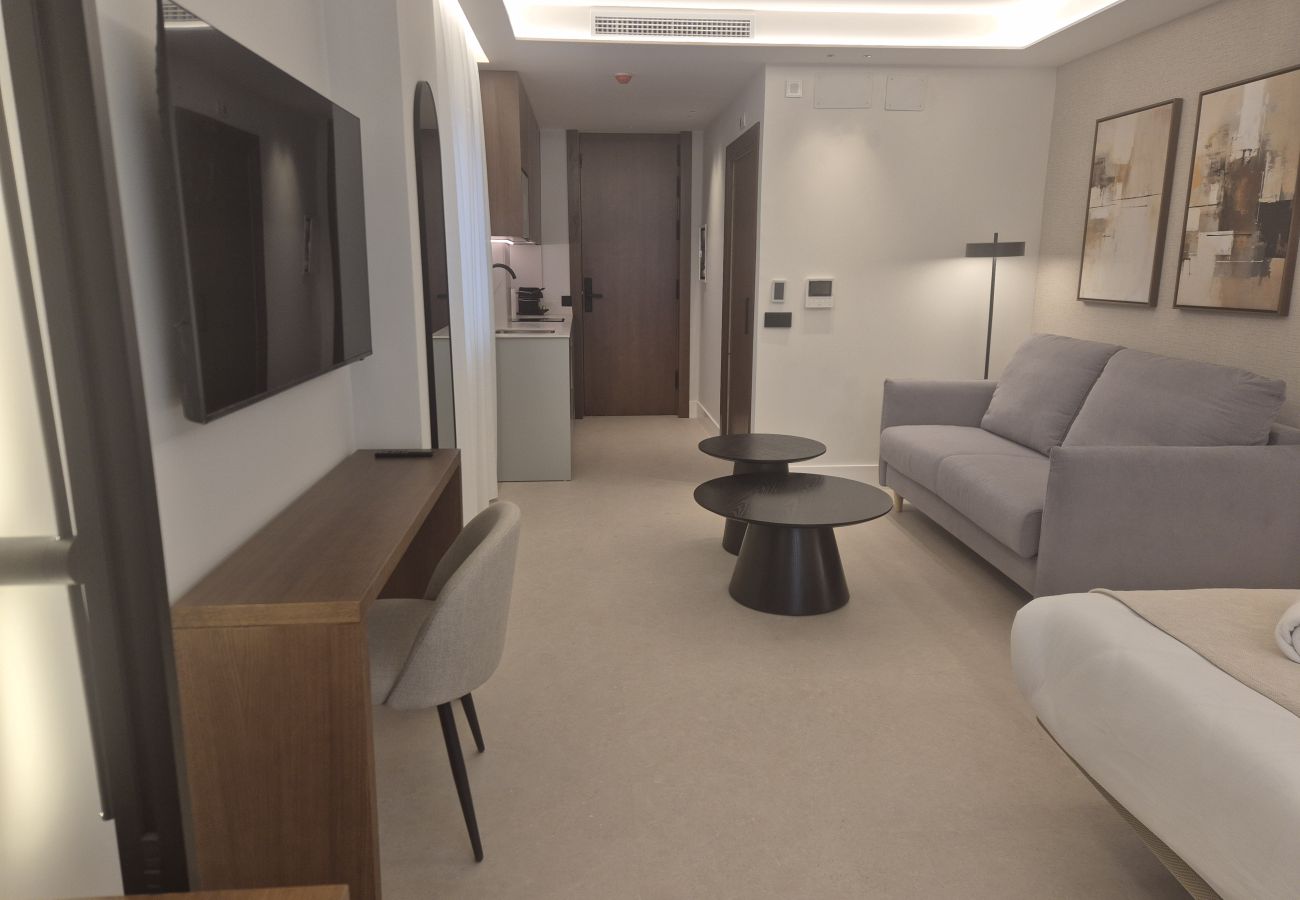 Estudio en Granada - WintowinRentals Placeta Suites Granada 1