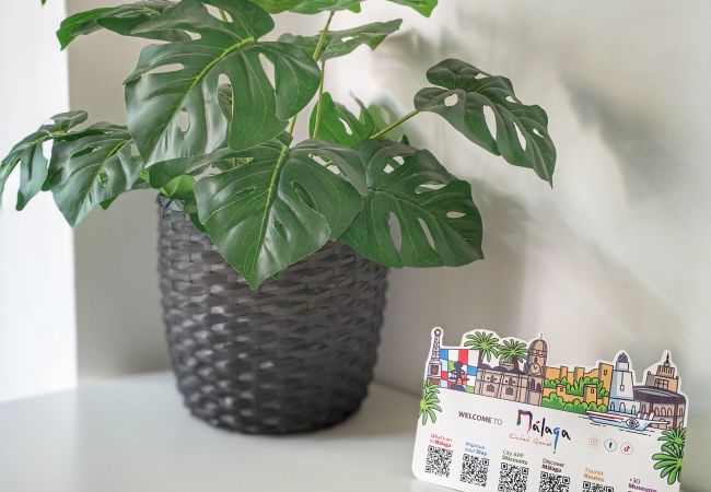 Ferienwohnung in Málaga - WintowinRentals Gemütlich Zentrum perfekte Lage Ferienwohnung in Málaga - WintowinRentals Gemütlich Zentrum perfekte Lage