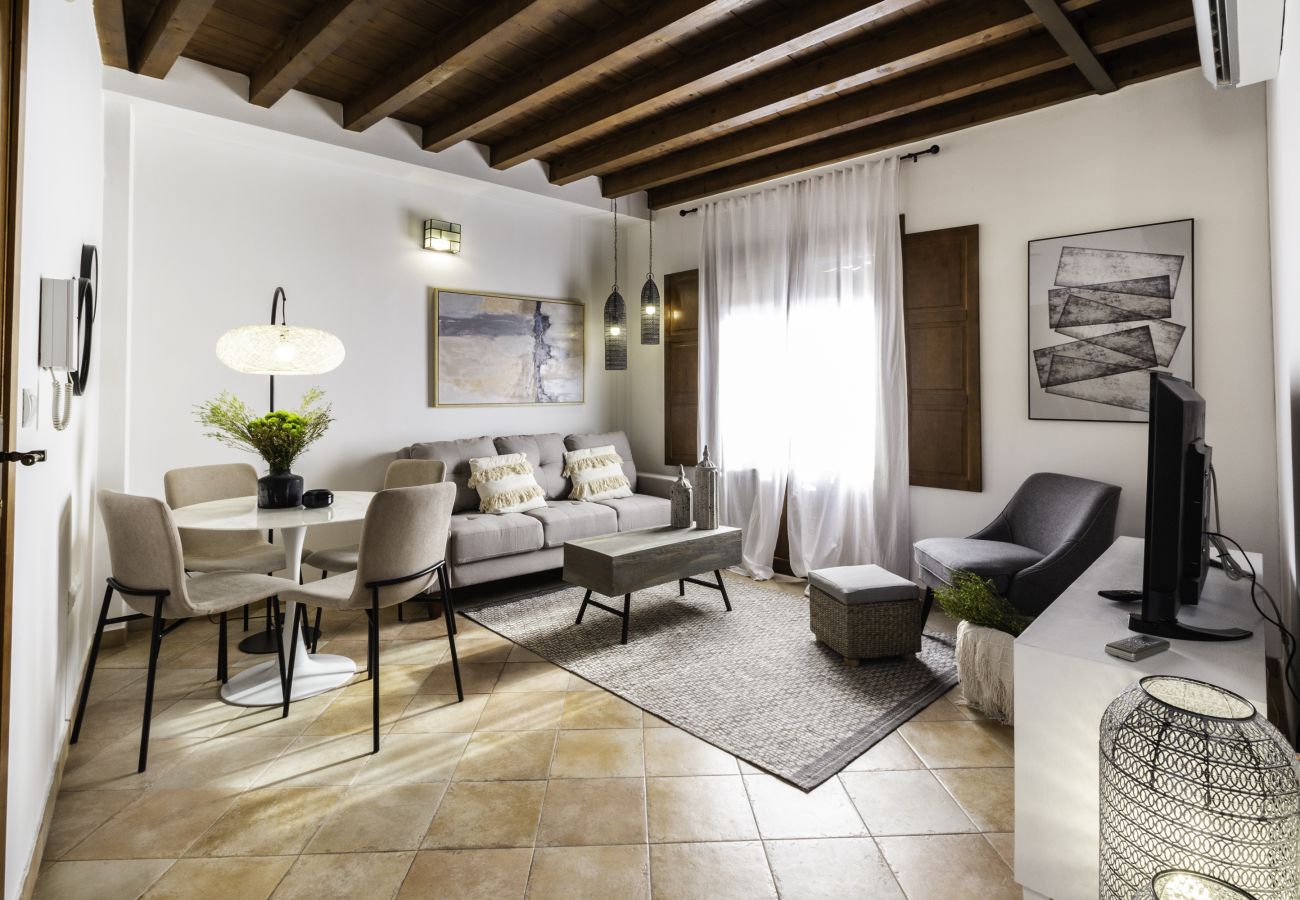 Ferienwohnung in Granada - WintowinRentals Fabelhaftes Penthouse mit Terrasse im Herzen von Granada