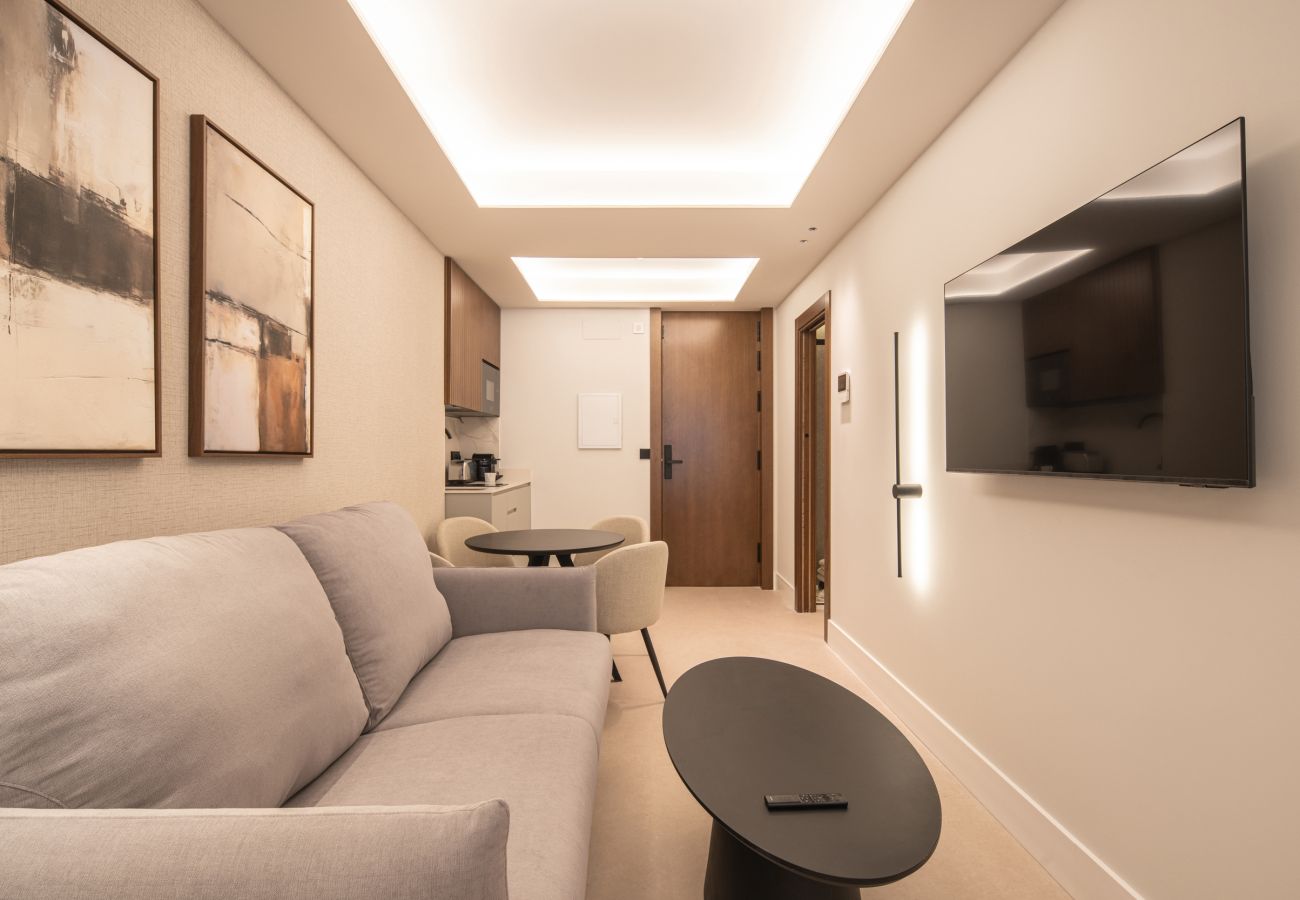 Studio in Granada - WintowinRentals Placeta Suites Granada 5