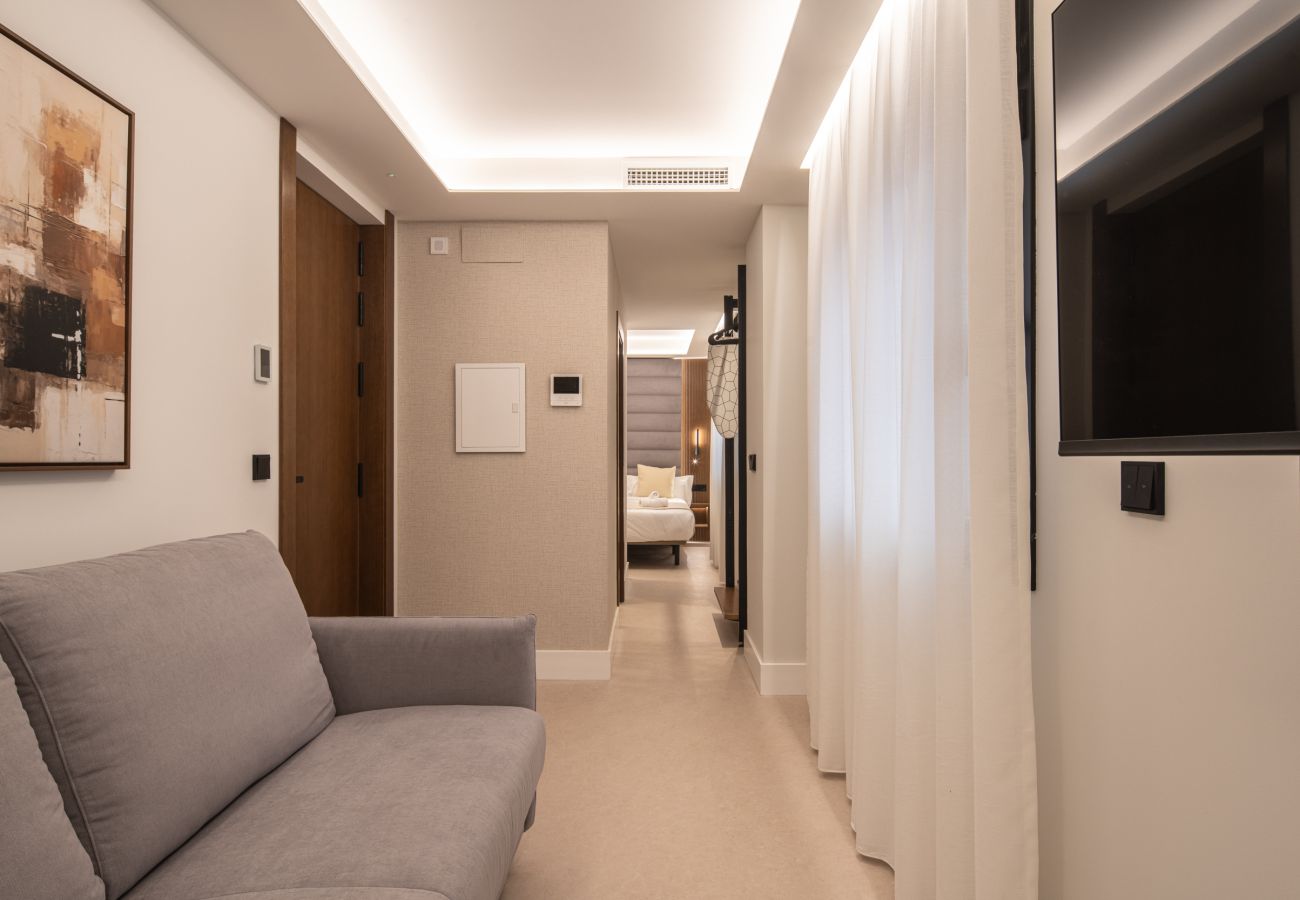 Studio in Granada - WintowinRentals Placeta Suites Granada 3