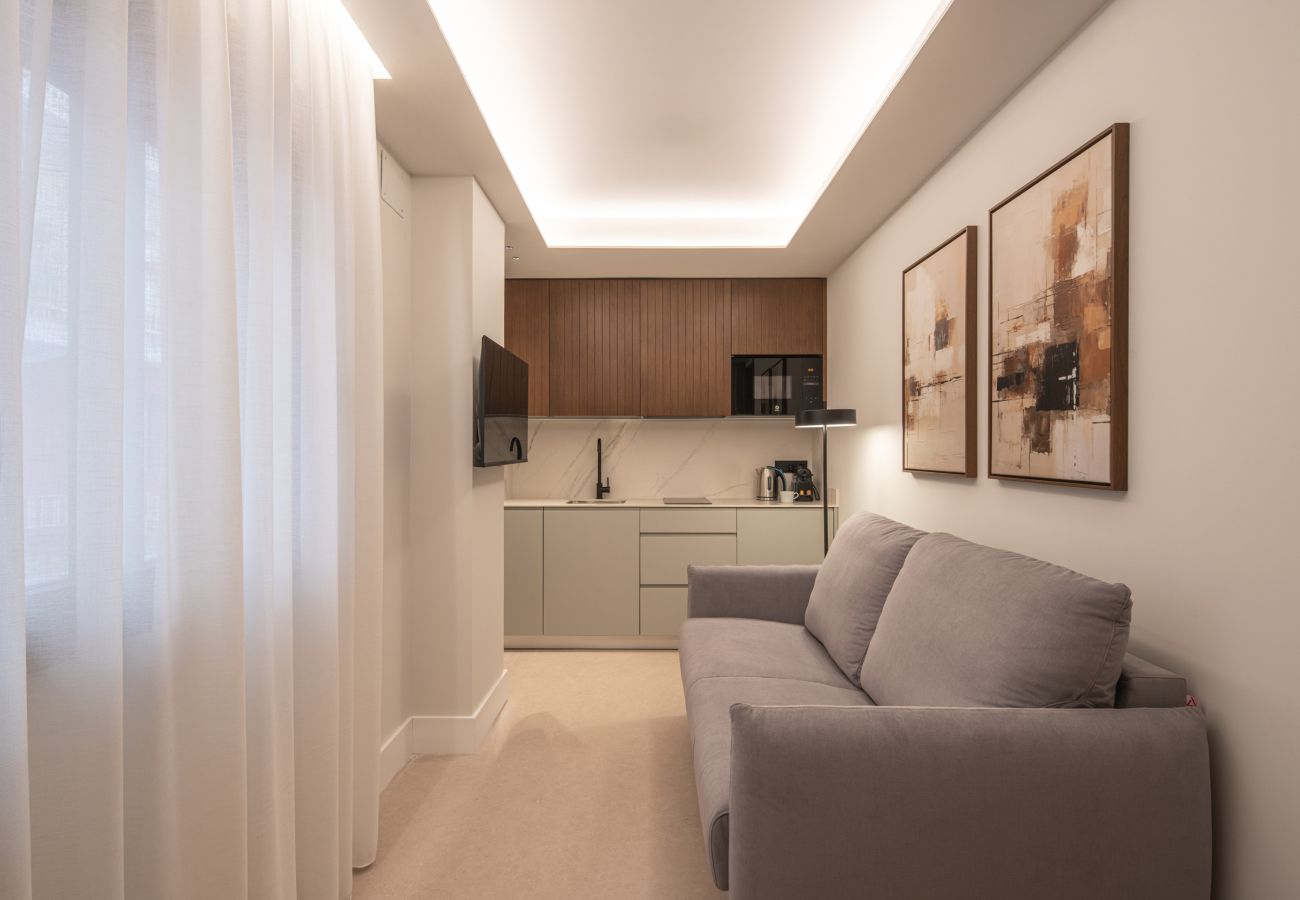 Studio in Granada - WintowinRentals Placeta Suites Granada 3