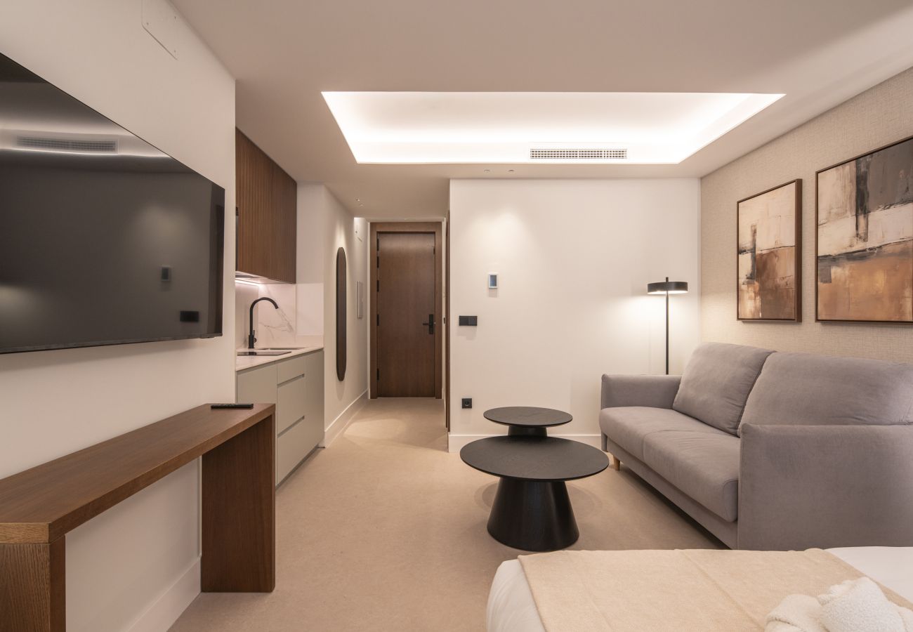 Studio in Granada - WintowinRentals Placeta Suites Granada 2