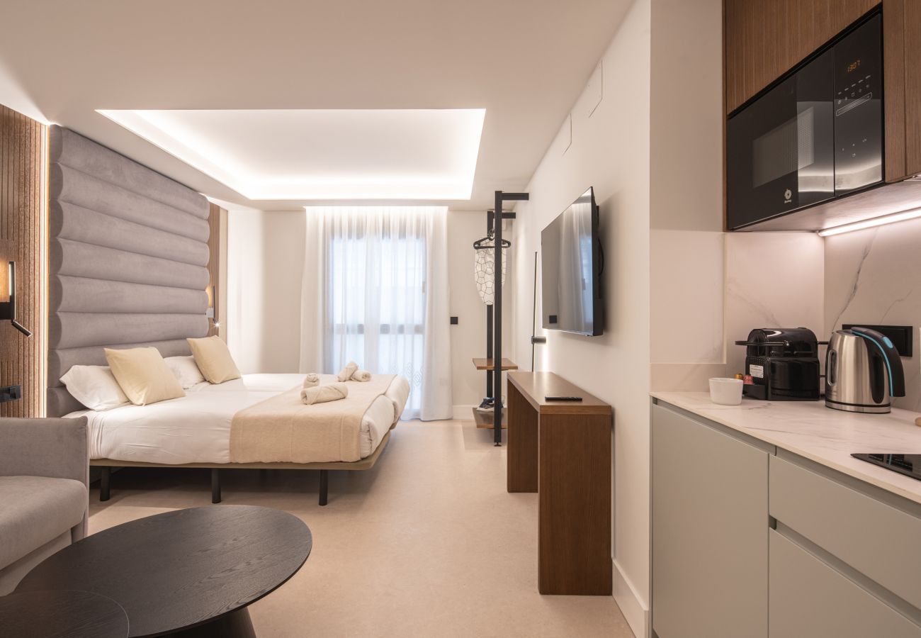 Studio in Granada - WintowinRentals Placeta Suites Granada 2