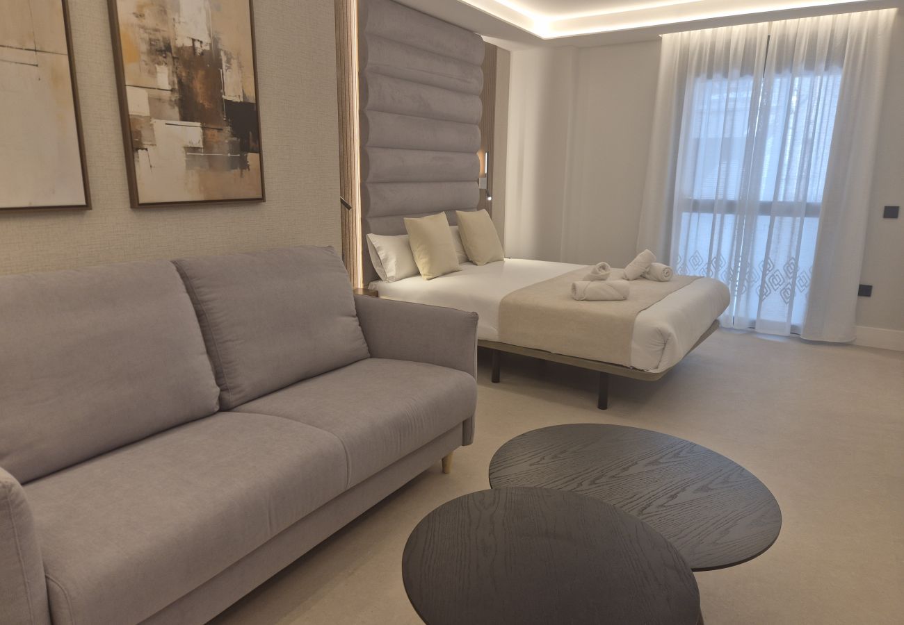 Studio in Granada - WintowinRentals Placeta Suites Granada 1