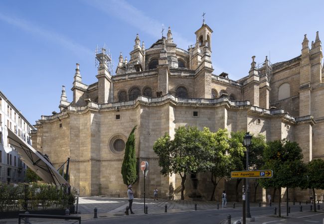 Apartment in Granada - WintowinRentals Historic Center of Granada Apartment in Granada - WintowinRentals Historic Center of Granada