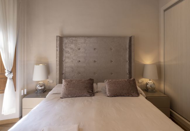 Apartment in Granada - WintowinRentals Historic Center of Granada Apartment in Granada - WintowinRentals Historic Center of Granada