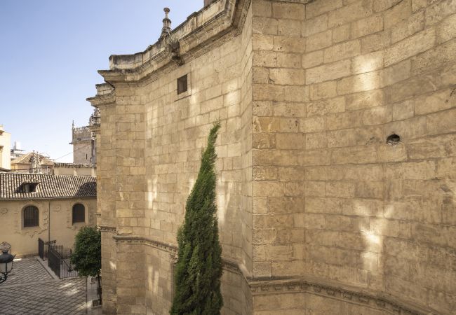 Apartment in Granada - WintowinRentals Historic Center of Granada Apartment in Granada - WintowinRentals Historic Center of Granada