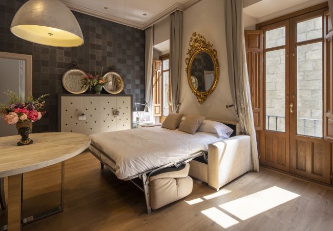 Apartment in Granada - WintowinRentals Historic Center of Granada Apartment in Granada - WintowinRentals Historic Center of Granada