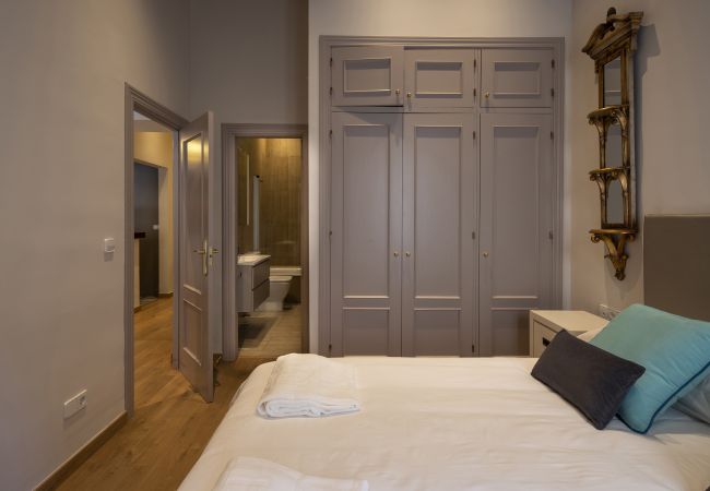 Apartment in Granada - WintowinRentals Historic Center of Granada Apartment in Granada - WintowinRentals Historic Center of Granada