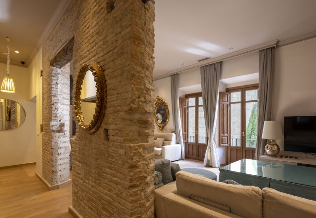 Apartment in Granada - WintowinRentals Historic Center of Granada Apartment in Granada - WintowinRentals Historic Center of Granada