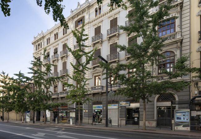 Apartment in Granada - WintowinRentals Historic Center of Granada Apartment in Granada - WintowinRentals Historic Center of Granada