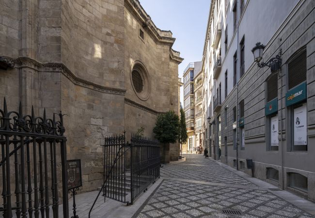 Apartment in Granada - WintowinRentals Historic Center of Granada Apartment in Granada - WintowinRentals Historic Center of Granada