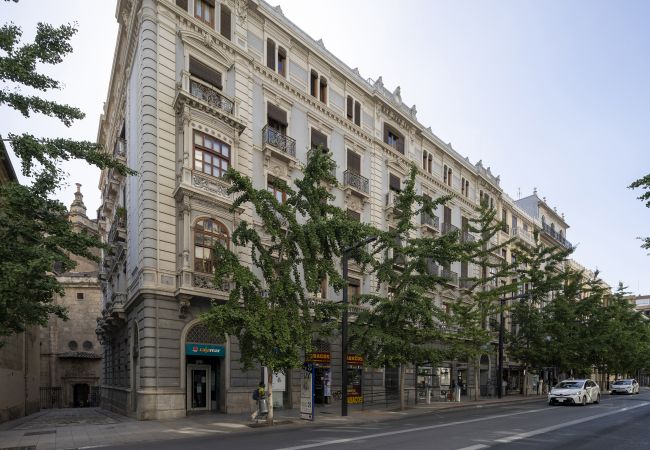 Apartment in Granada - WintowinRentals Historic Center of Granada Apartment in Granada - WintowinRentals Historic Center of Granada