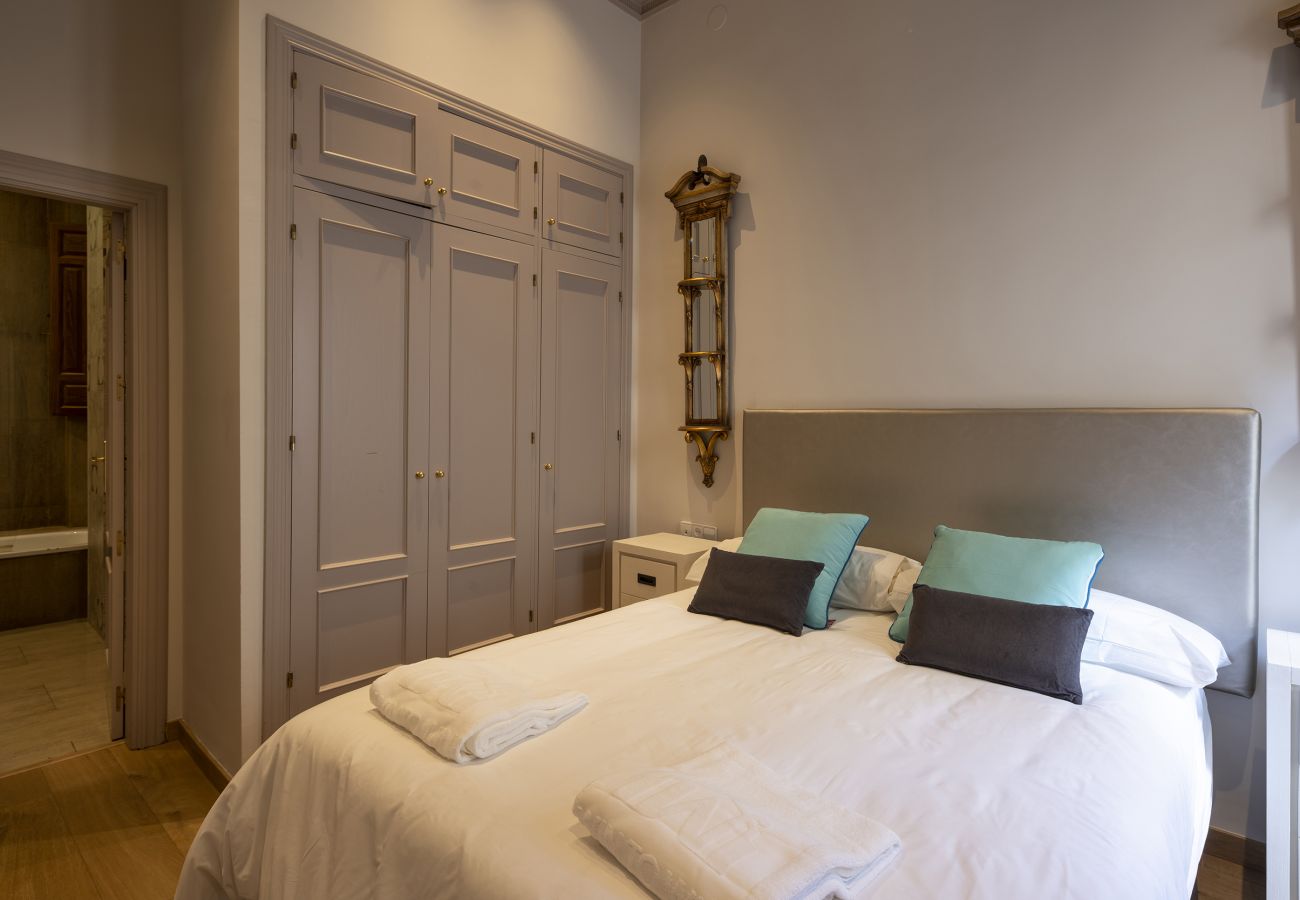 Apartment in Granada - WintowinRentals Historic Center of Granada Apartment in Granada - WintowinRentals Historic Center of Granada