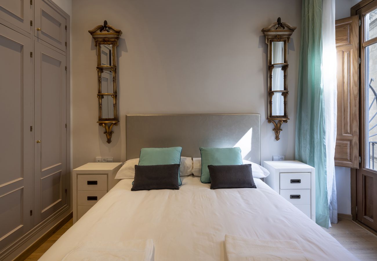 Apartment in Granada - WintowinRentals Historic Center of Granada Apartment in Granada - WintowinRentals Historic Center of Granada