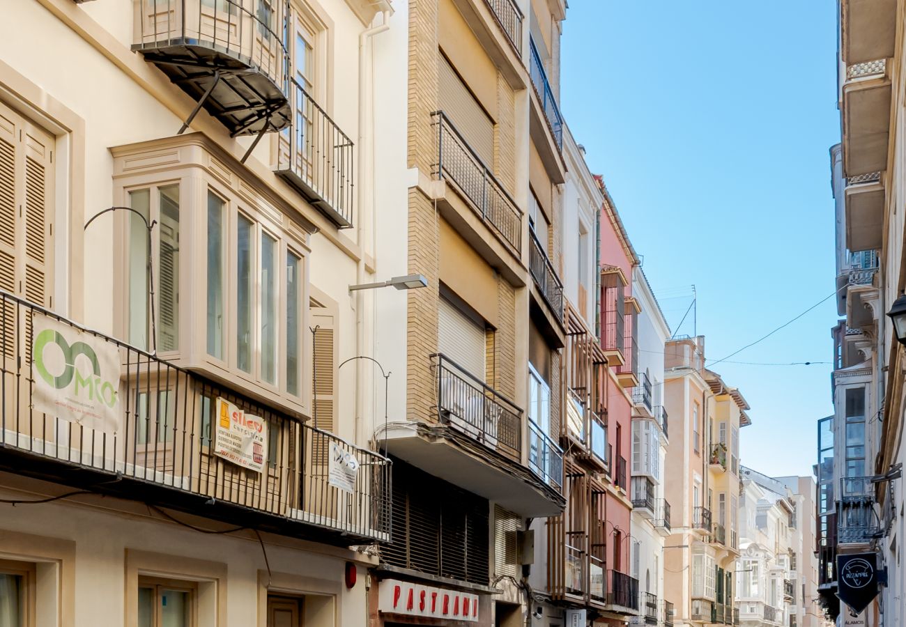Apartment in Málaga - WintowinRentals Fantastic City Center Perfect Location