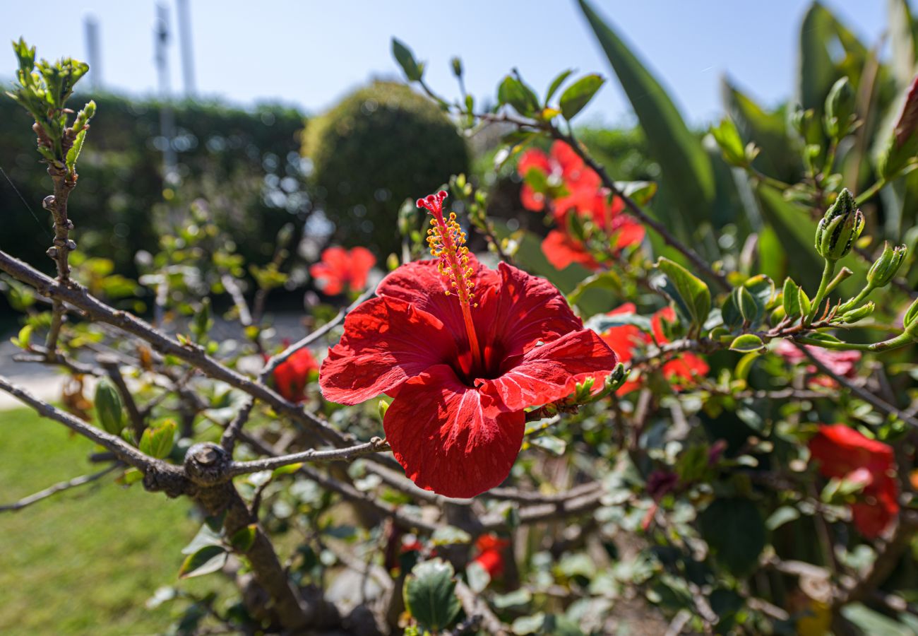 Apartment in Torre de Benagalbon - WintowinRentals Great Apartment & 1st Line Beach