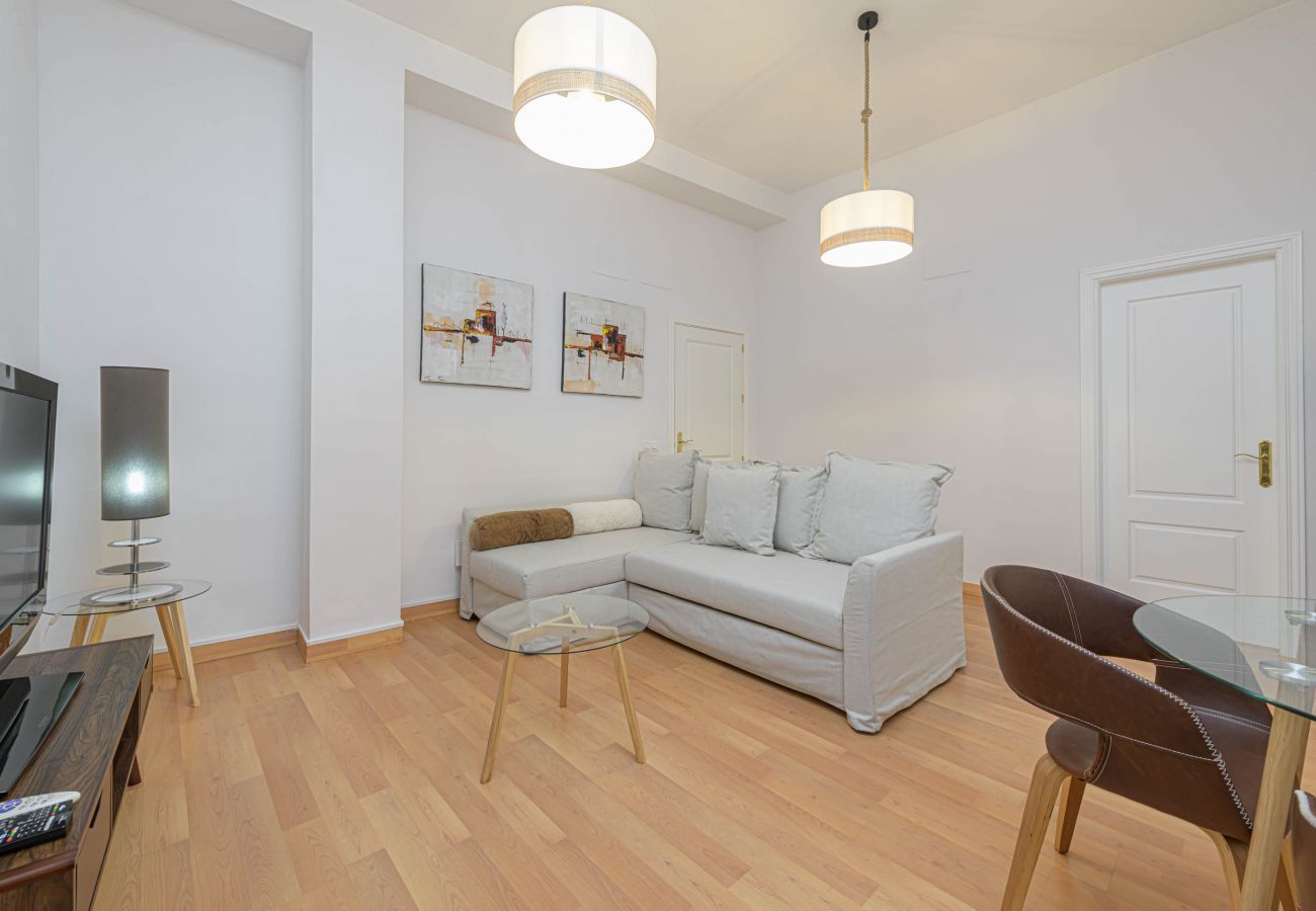 Apartment in Málaga - WintowinRentals Central, Elegant and Silent