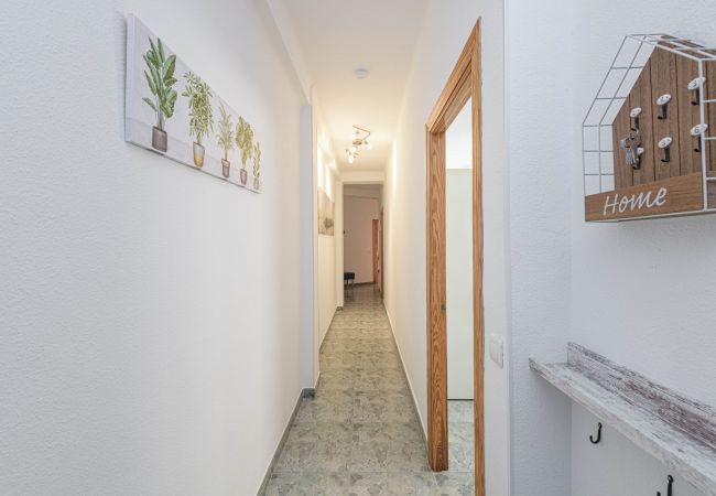 Apartment in Málaga - WintowinRentals Great Location in Soho Málaga Apartment in Málaga - WintowinRentals Great Location in Soho Málaga