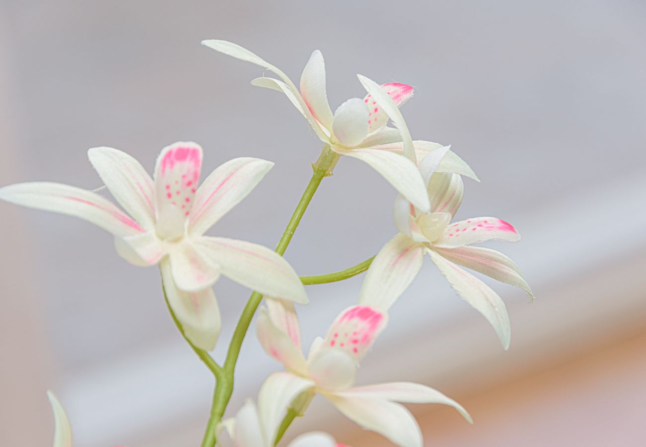 Apartment in Rincón de la Victoria - WintowinRentals Ocean view in the center of Rincon