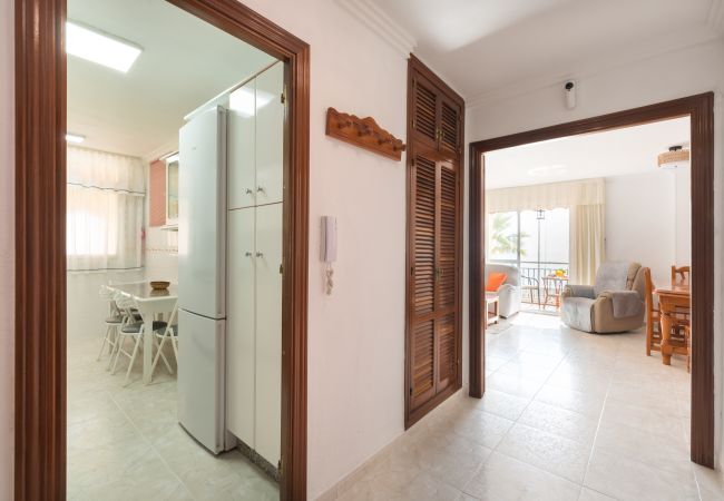 Apartment in Rincón de la Victoria - WintowinRentals Spectacular Sea Views on the Beachfront Apartment in Rincón de la Victoria - WintowinRentals Spectacular Sea Views on the Beachfront