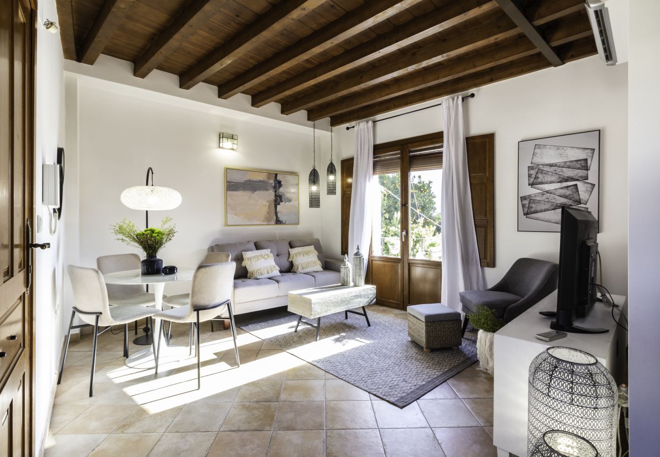 Apartment in Granada - WintowinRentals Fabulous Penthouse with Terrace in the Heart of Granada