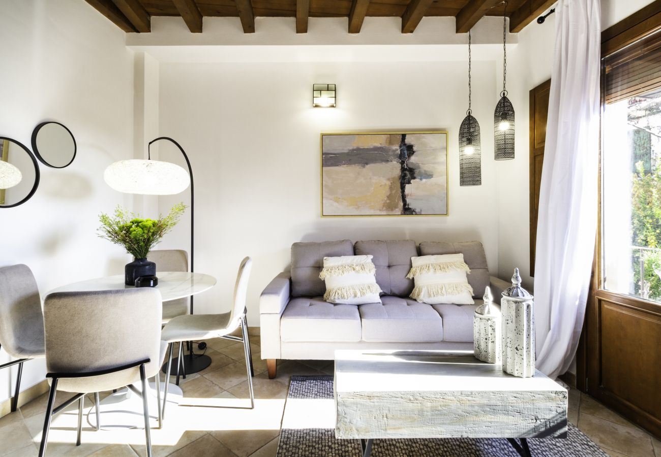 Apartment in Granada - WintowinRentals Fabulous Penthouse with Terrace in the Heart of Granada