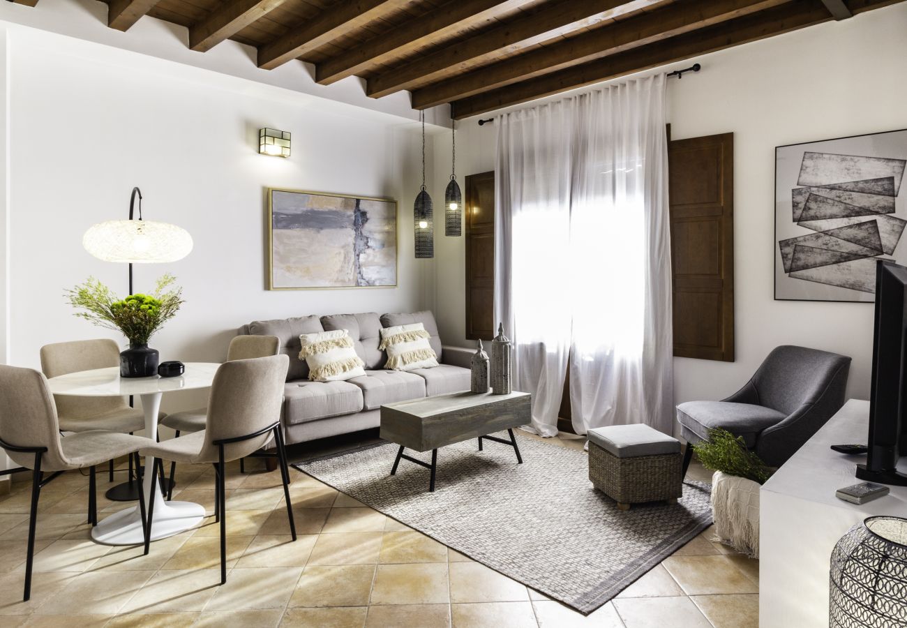 Apartment in Granada - WintowinRentals Fabulous Penthouse with Terrace in the Heart of Granada
