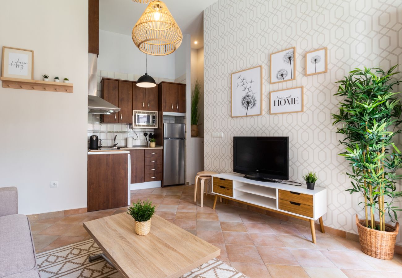 Apartment in Granada - WintowinRentals Cozy apartment with private patio next to the Albaicín