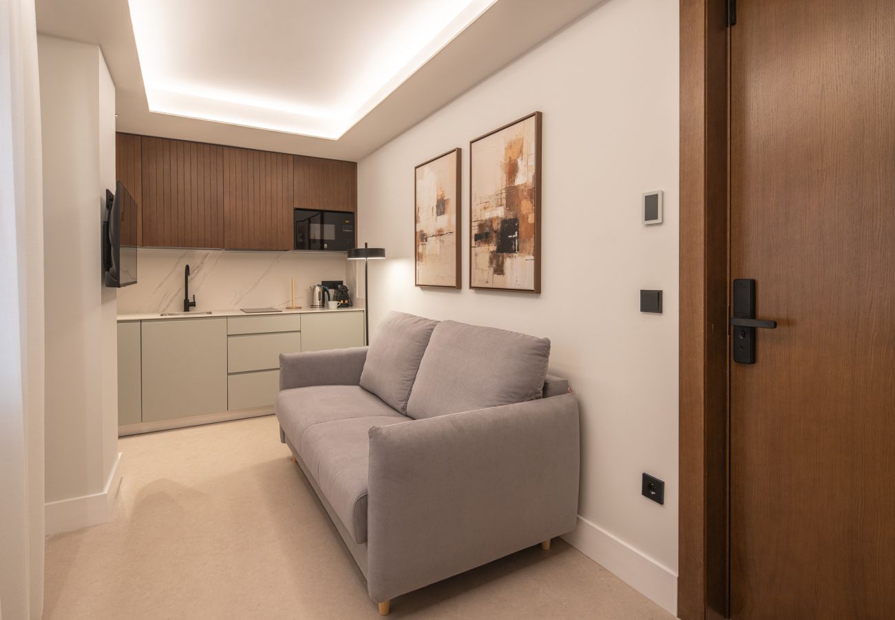 Studio in Granada - WintowinRentals Placeta Suites Granada 3