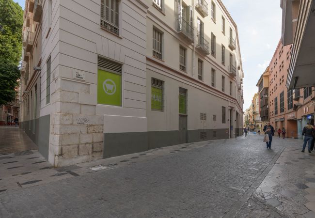Appartement à Málaga - WintowinRentals Plaza del Teatro centre historique de Malaga. Appartement à Málaga - WintowinRentals Plaza del Teatro centre historique de Malaga.