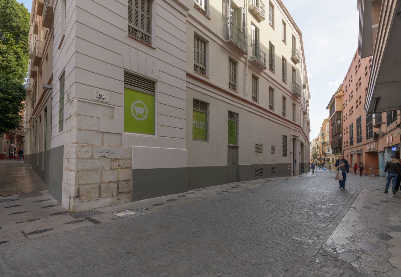 Appartement à Malaga - WintowinRentals Plaza del Teatro centre historique de Malaga. Appartement à Malaga - WintowinRentals Plaza del Teatro centre historique de Malaga.