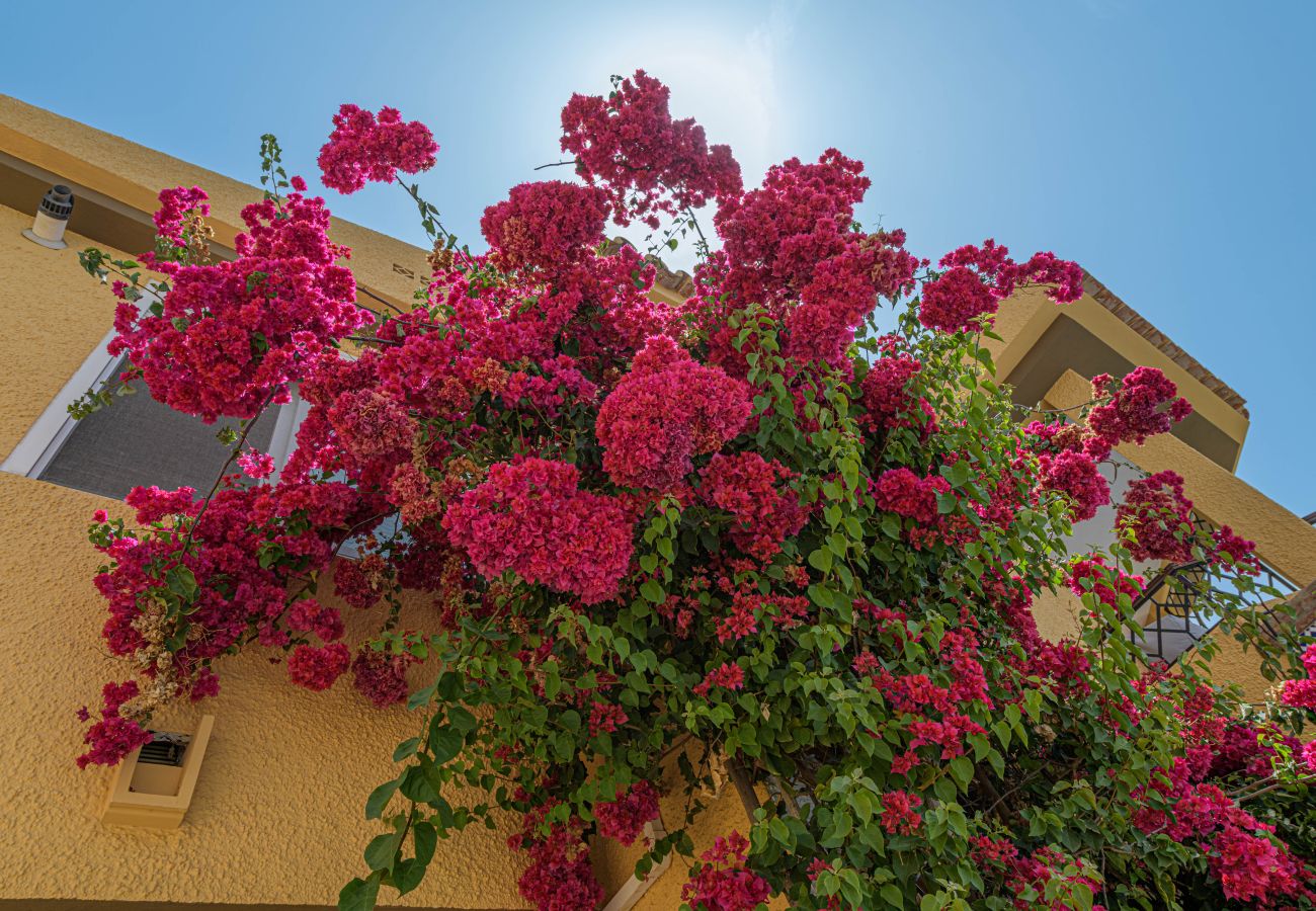 Maison à Rincón de la Victoria - WintowinRentals Maison avec Piscine Privée à Rincón