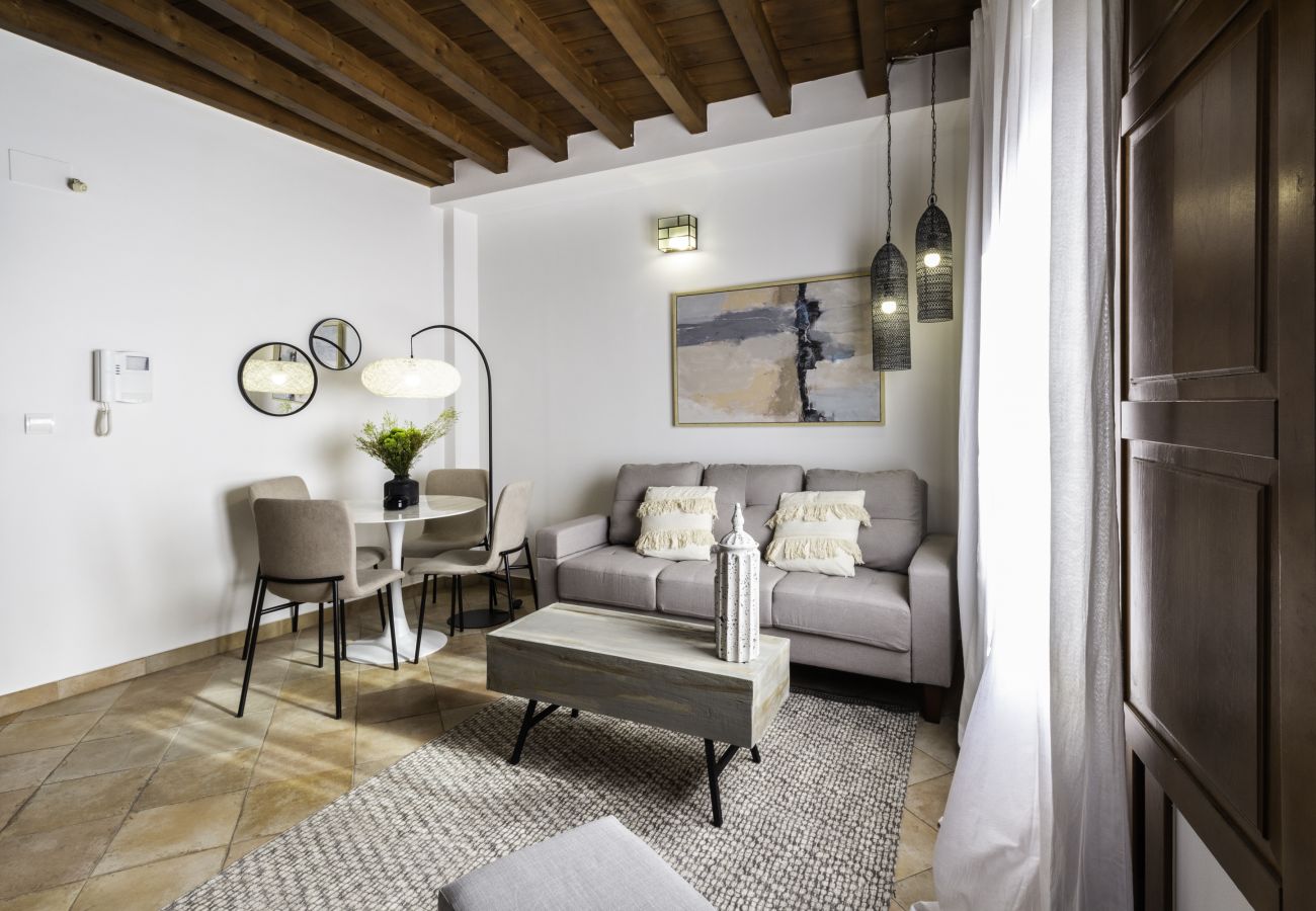 Appartement à Granada - WintowinRentals Superbe penthouse avec terrasse au cœur de Grenade