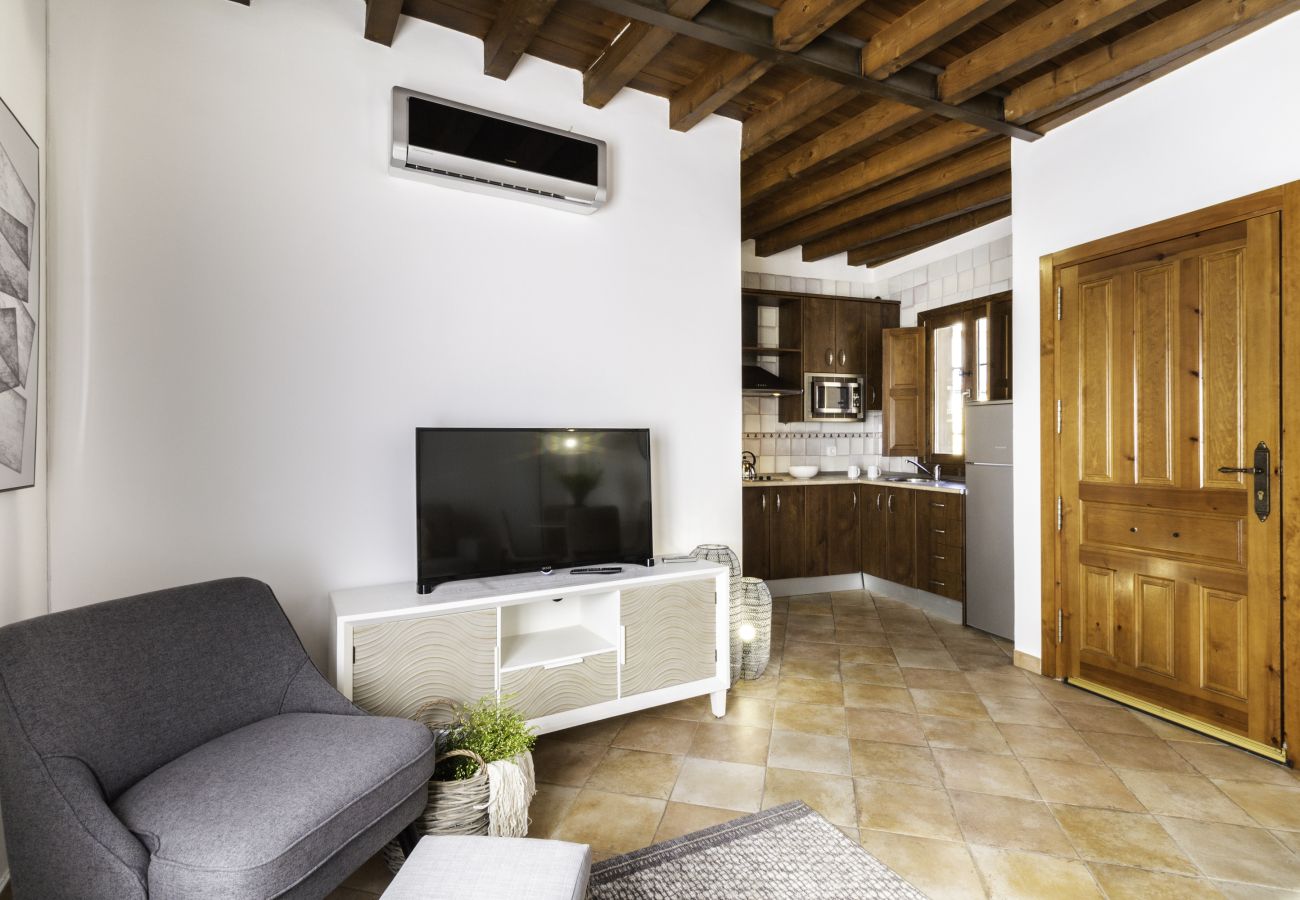 Appartement à Granada - WintowinRentals Superbe penthouse avec terrasse au cœur de Grenade